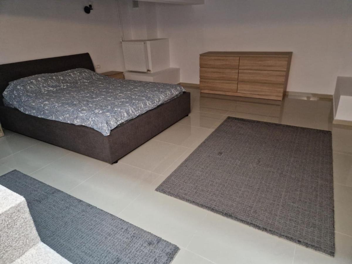 Danube Apartment Braila Exterior photo